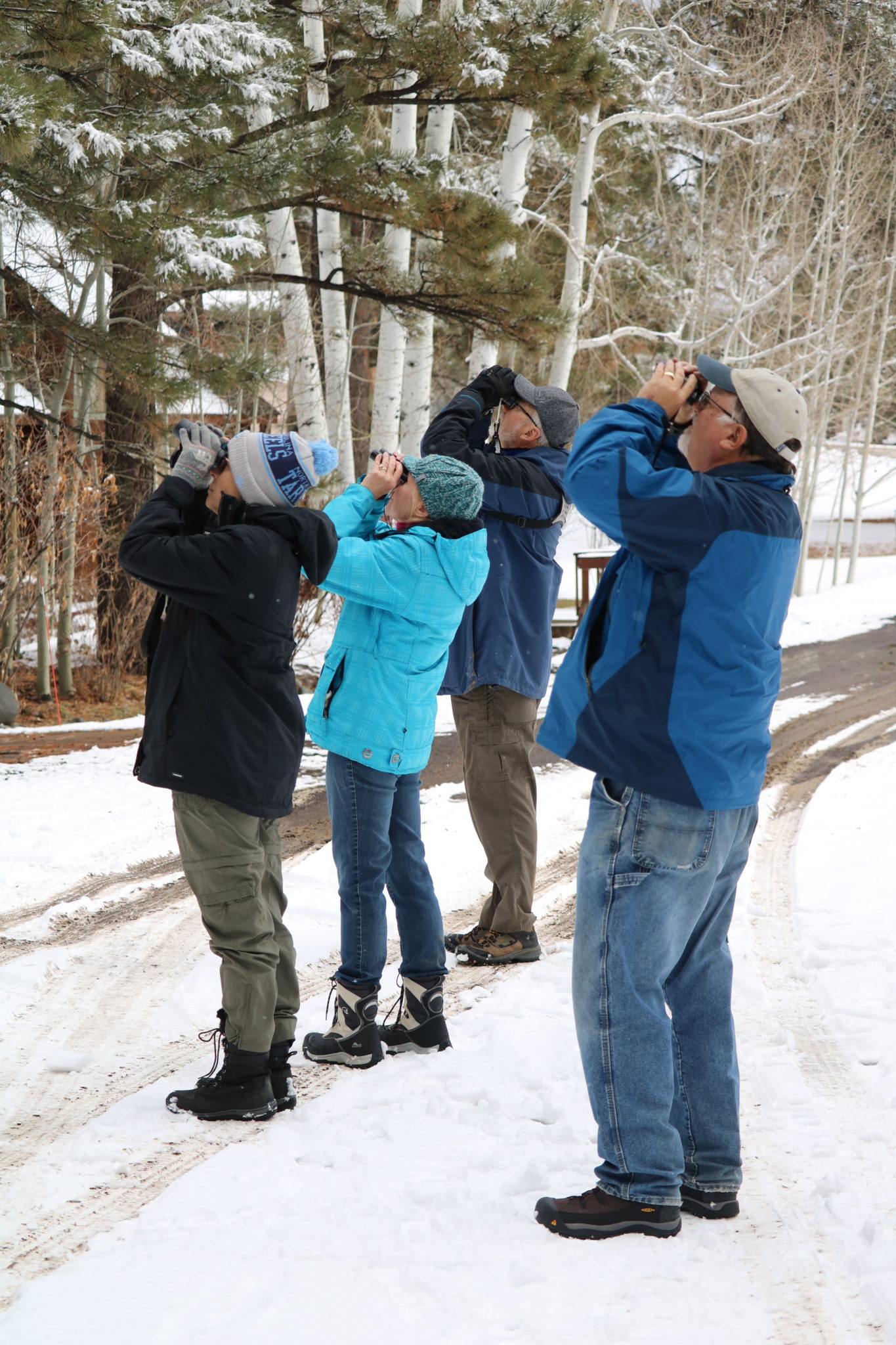 Christmas Bird Count Weminuche Audubon Society